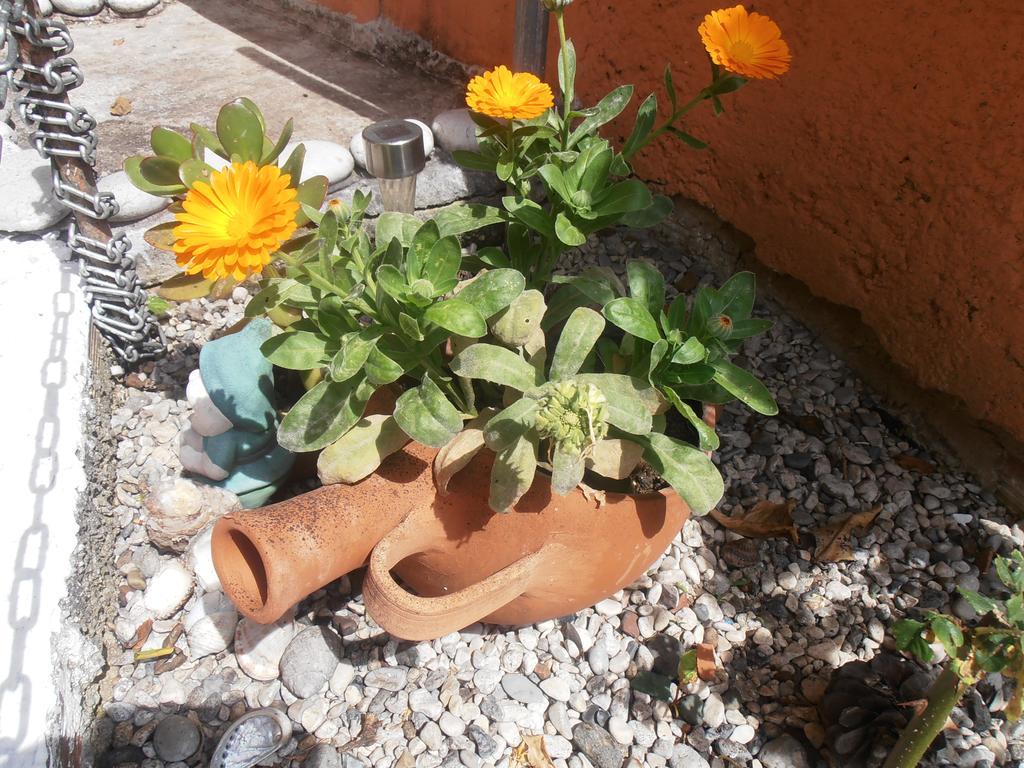 Apartament Panorama
